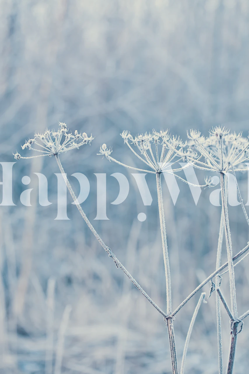 Frost-covered plants wallpaper design