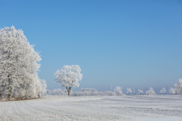 Winter Idyll In North Germany