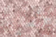 Mermaid Scales Glam 5
