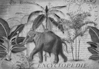 Elephants Journey Collage Grey papel pintado