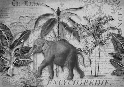 Mural