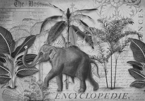 Elephants Journey Collage Grey