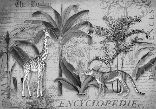 Giraffes Journey Collage Grey