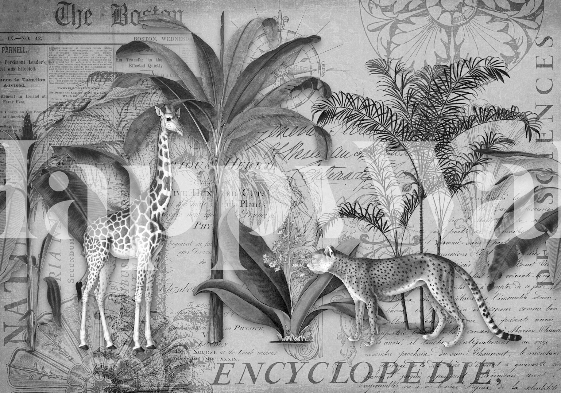 Giraffe and leopard among tropical plants and vintage text wallpaper