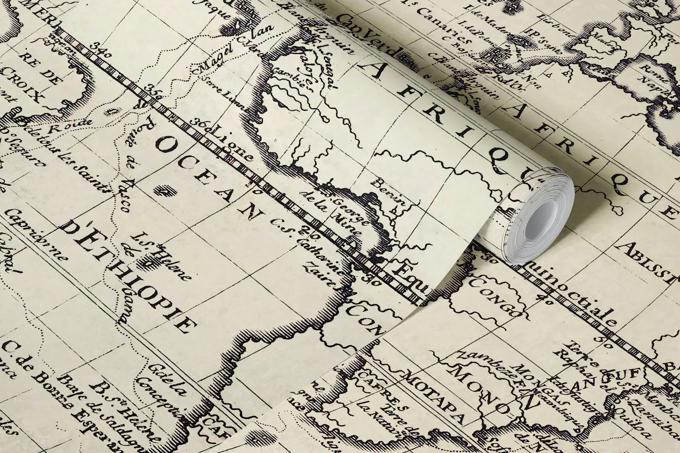Ancient French World Map wallpaper roll