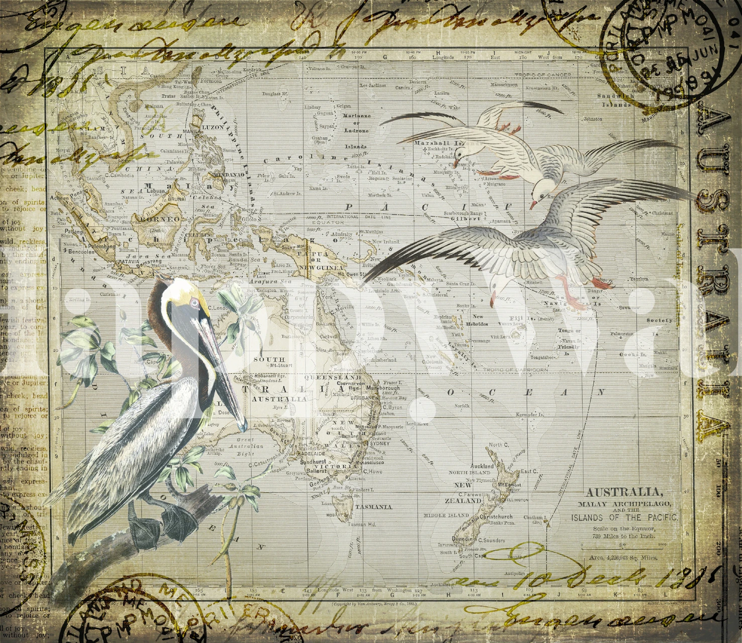 Vintage Australia Collage tapet i ett rum