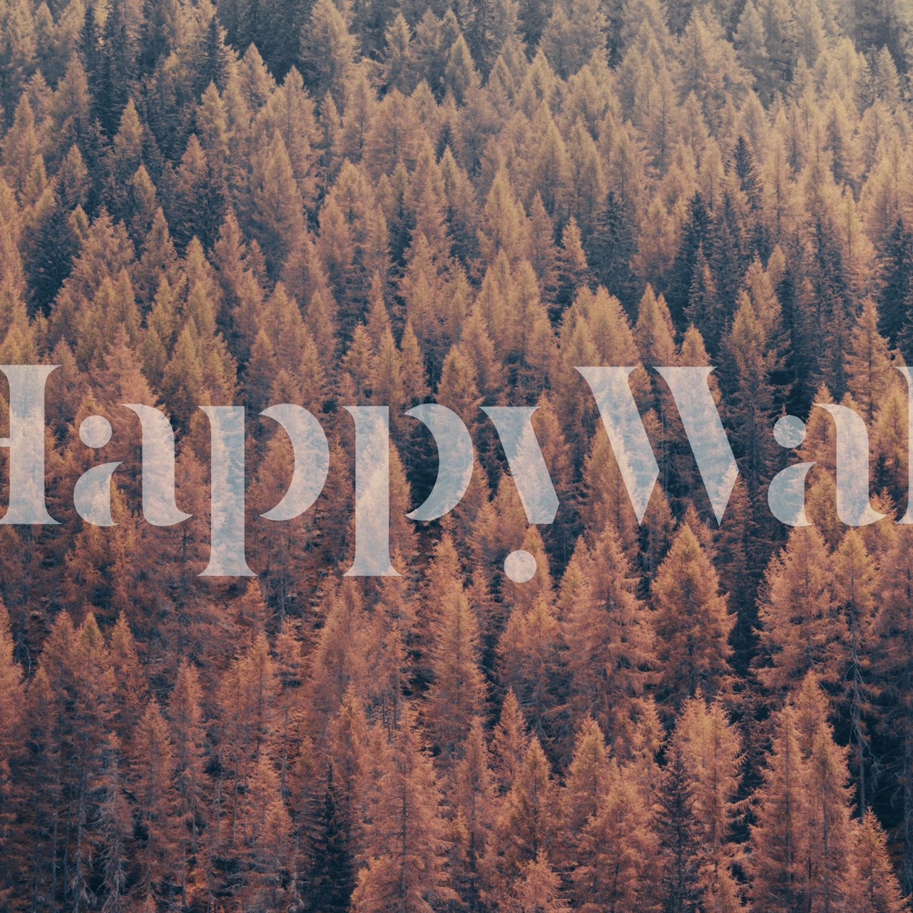 Autumnal forest wallpaper in a room