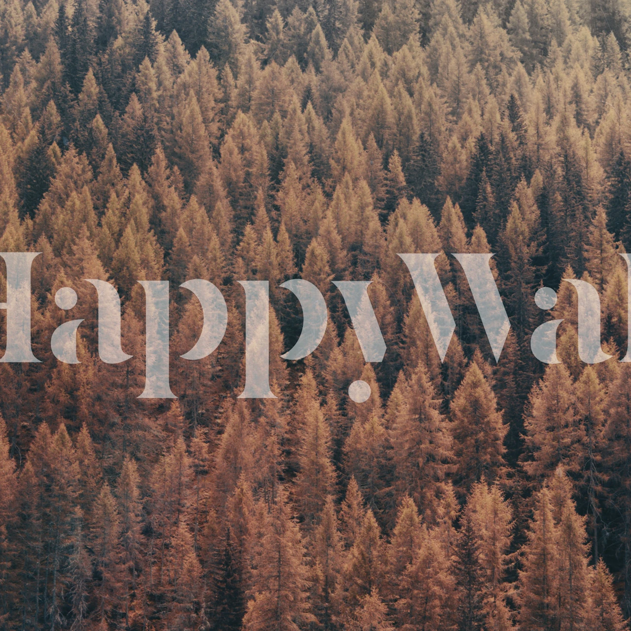 Papel pintado Autumnal Forest en una habitación