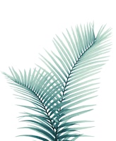 Intertwined Palm Leaves 3 papiers peint
