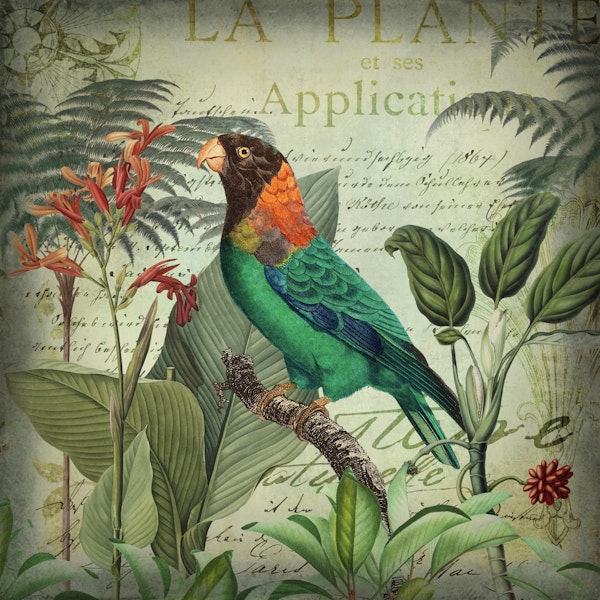 Tropical Bird Nostalgia 2