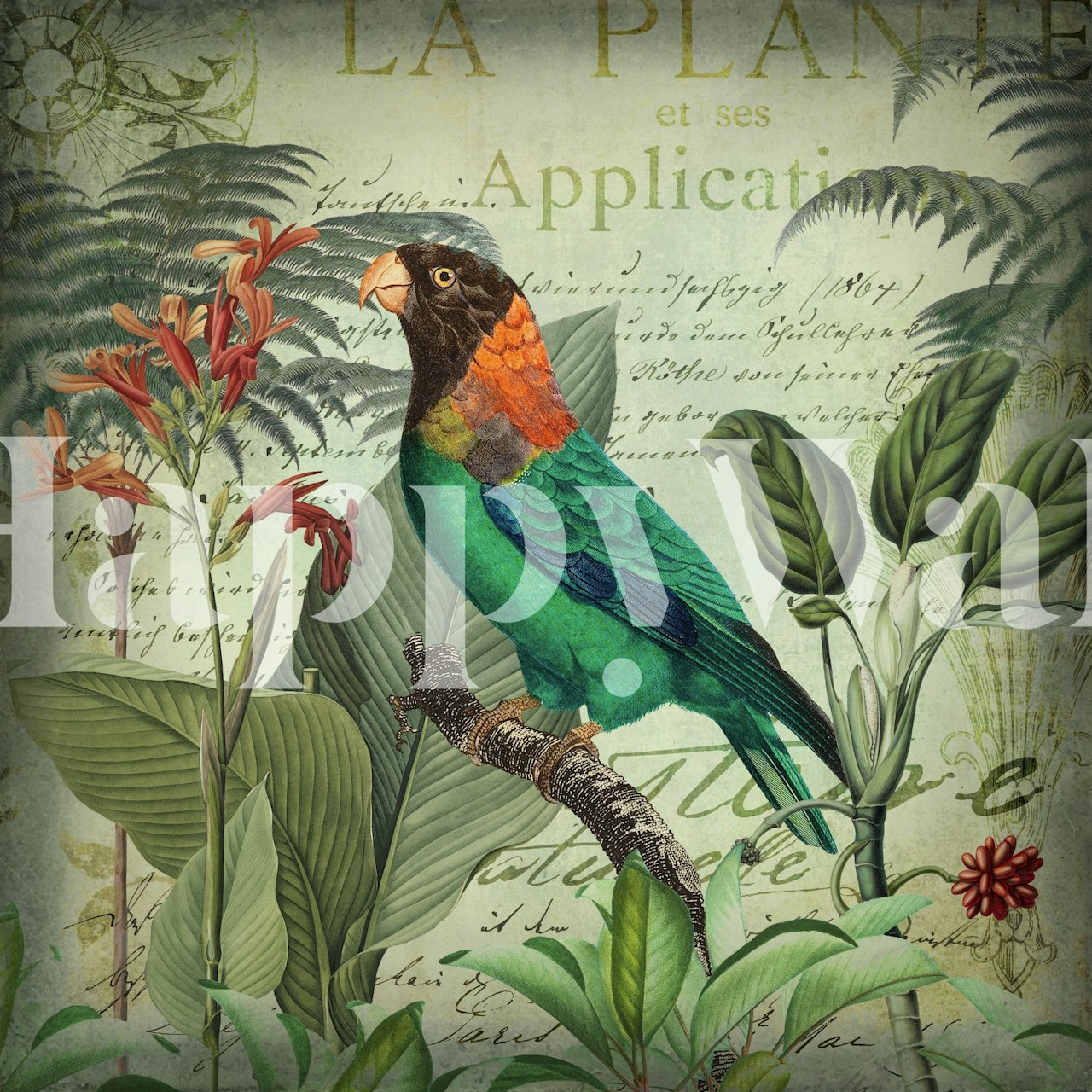 Tropical bird with colorful plumage among lush green leaves wallpaper