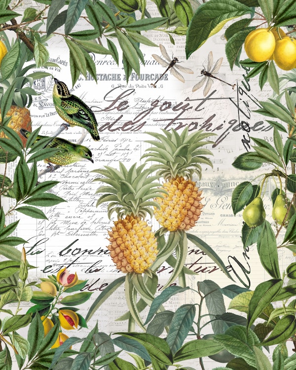 Tropical Pineapples Vintage