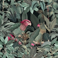 Parrots Green Jungle Paradise wallpaper