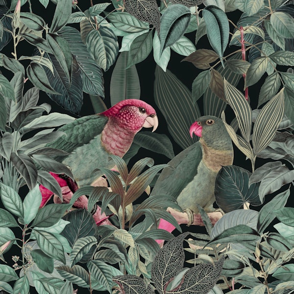 Parrots Green Jungle Paradise