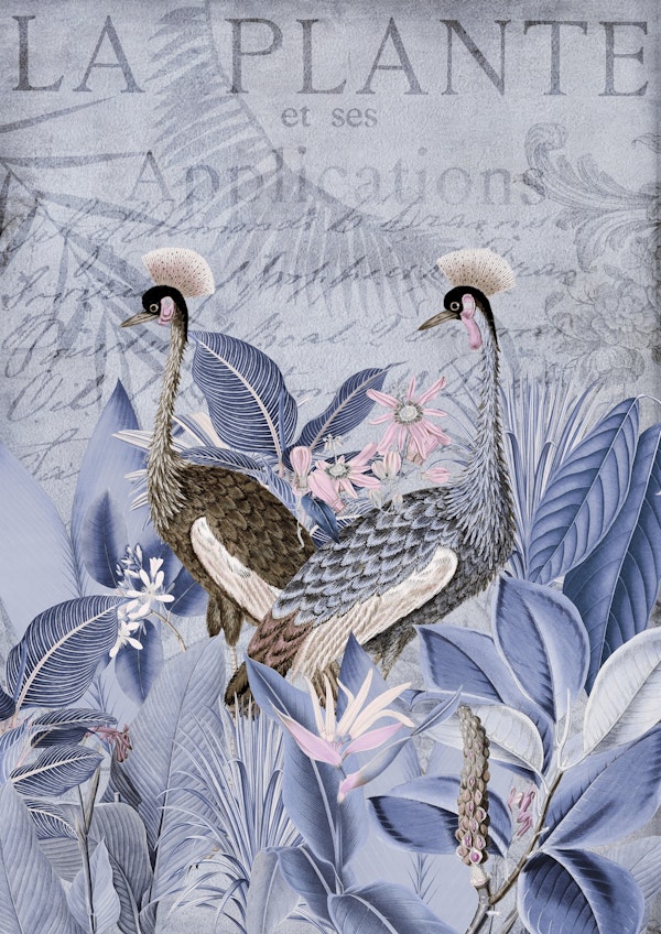 Blue Cranes Nostalgic Journey