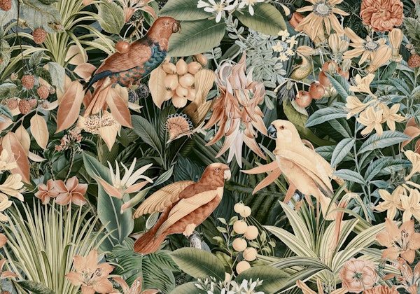 Tropical Summer Night