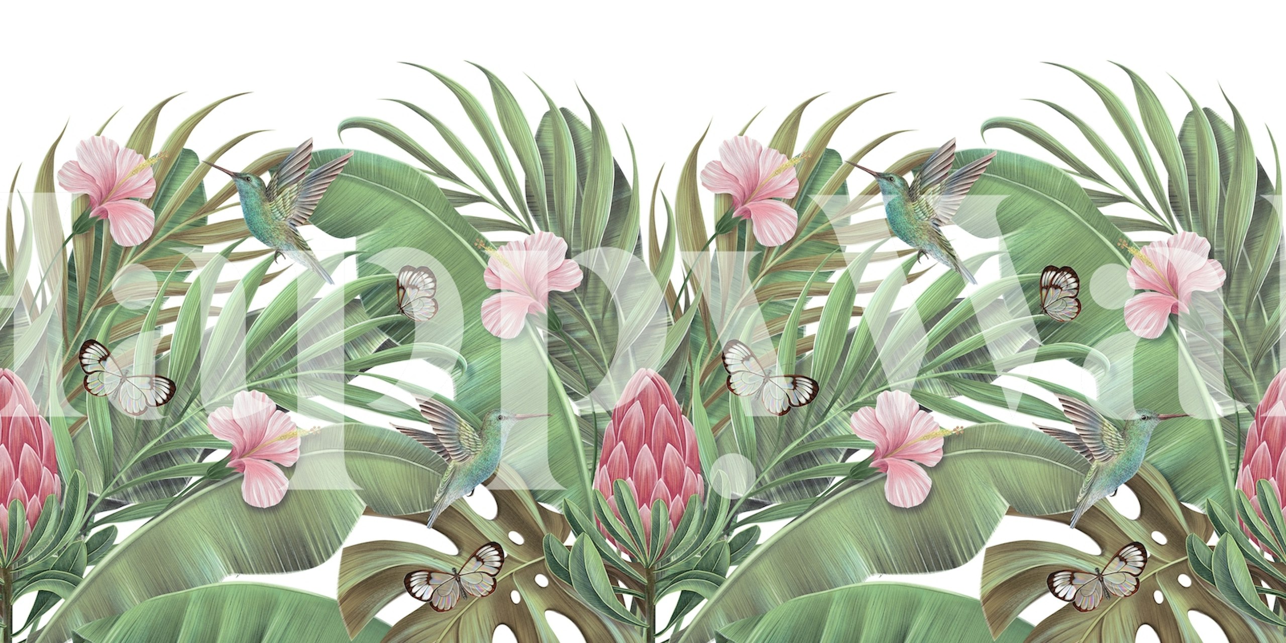 Tropical art ταπετσαρία με φυτά και λουλούδια