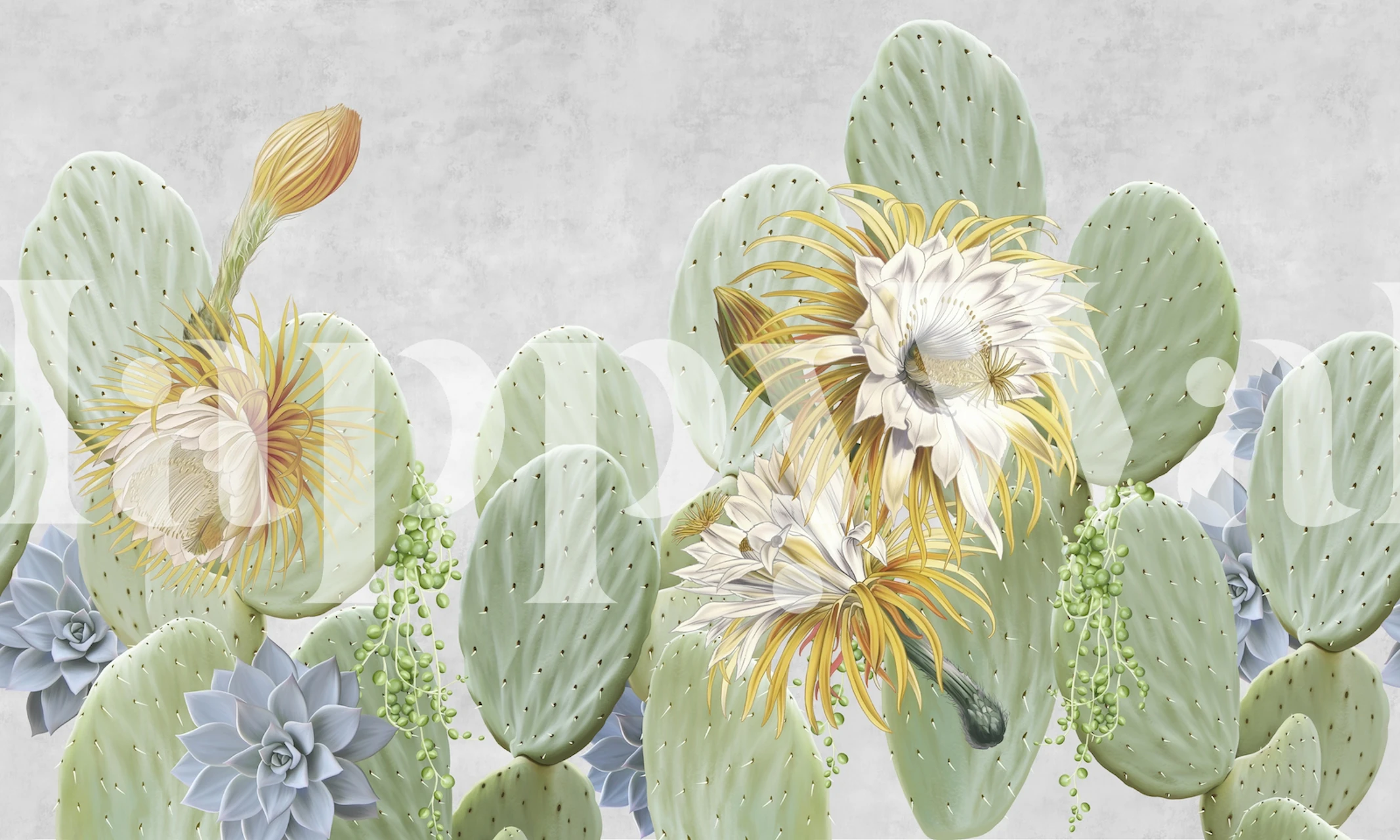 Green cacti with white and yellow flowers and blue succulents wallpaper