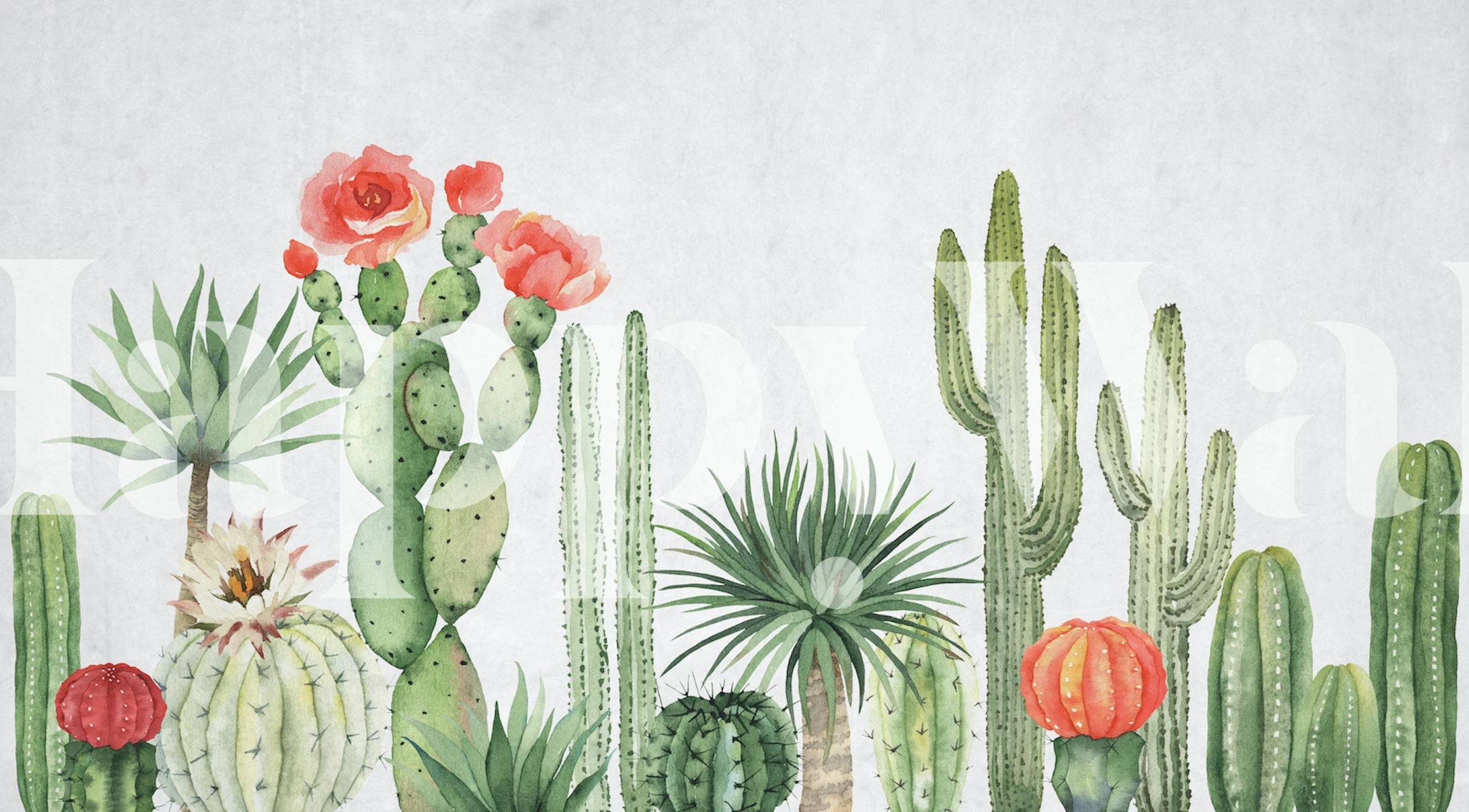 Cactus desert wallpaper featuring various green cacti and colorful flowers on a light background