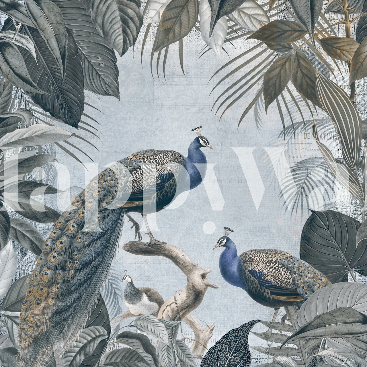 Peacock Fantasy World 3 wallpaper in a room