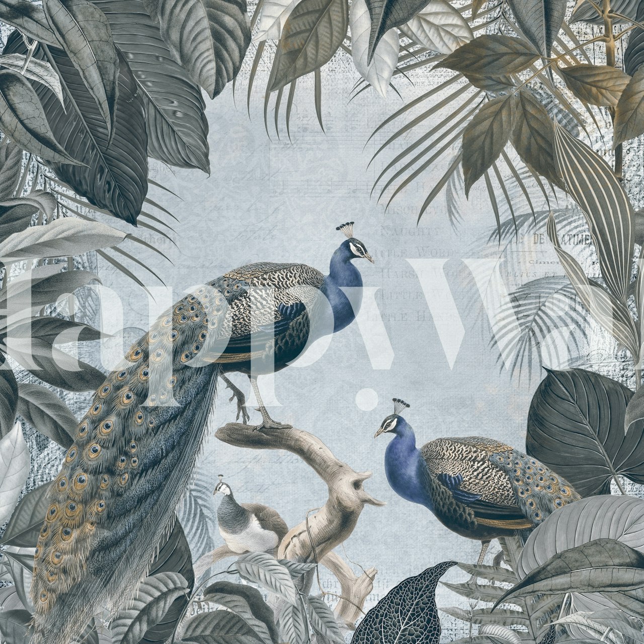 Carta da parati Peacock Fantasy World 3 in una stanza