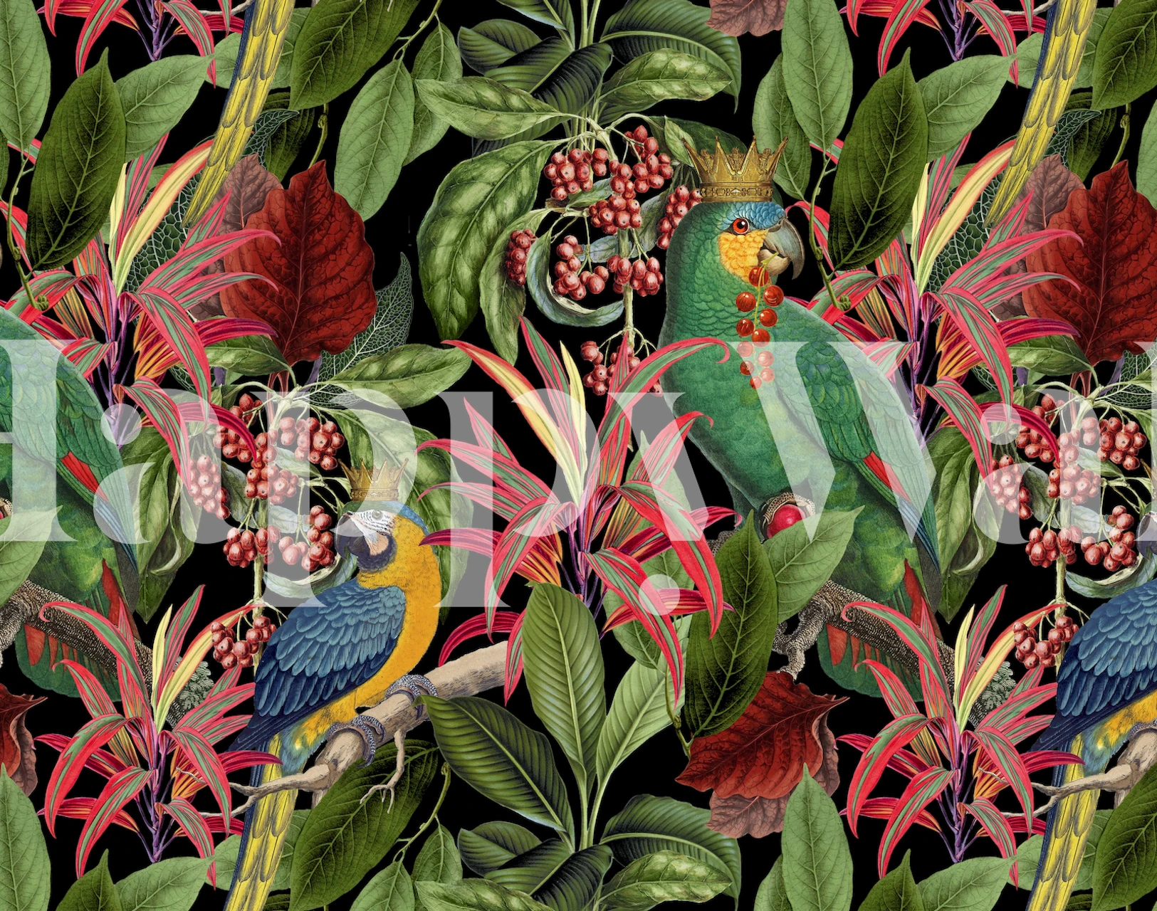 Tropical parrot wallpaper featuring green parrots, colorful flora, and dark background.
