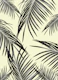 Black Palm Leaves Dream 3