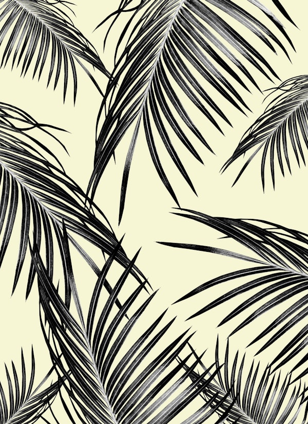 Black Palm Leaves Dream 3