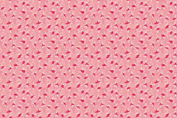 Ballerinas on pink