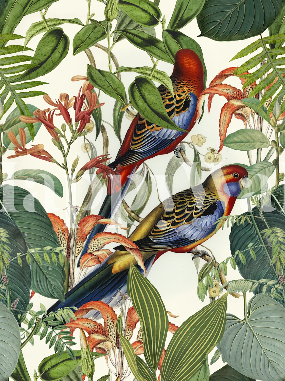 Tropical parakeet wallpaper in a room