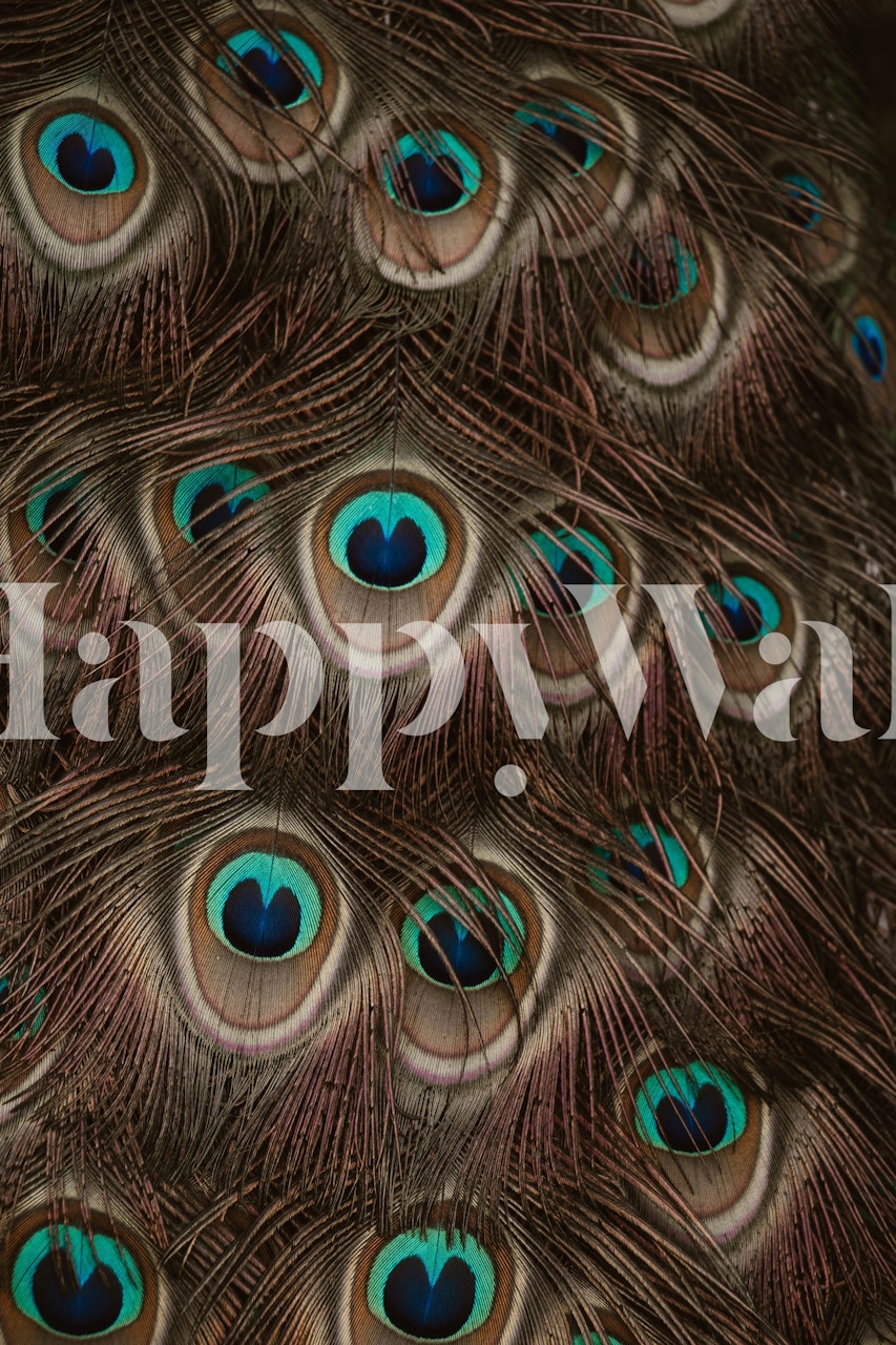 Peacock Feathers Abstract tapeta w pokoju