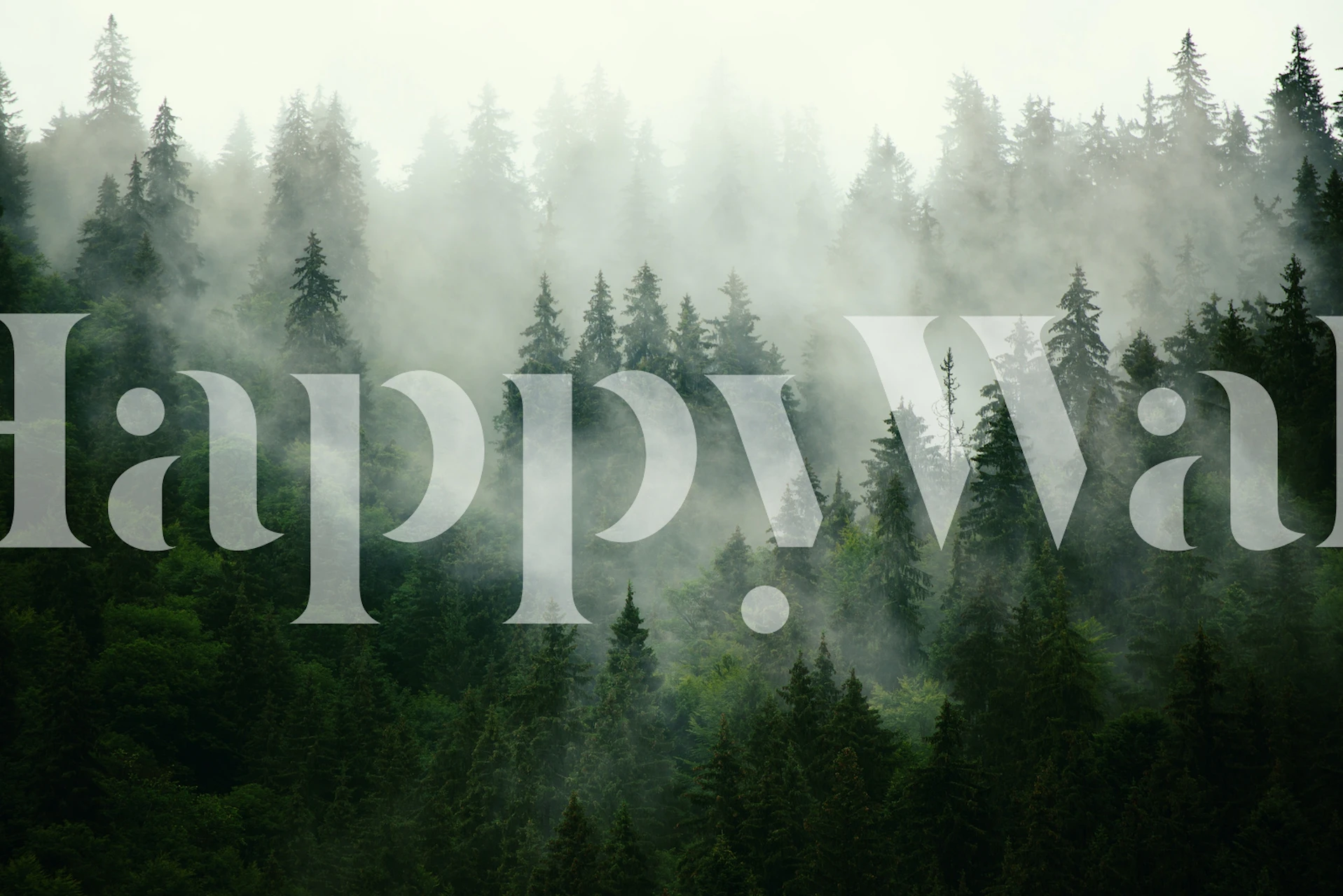 Papel pintado Misty Forest Green en una habitación