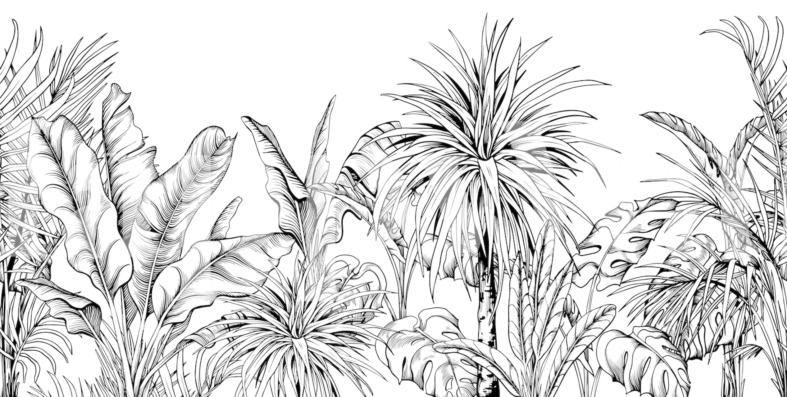 Papier peint mural à croquis botaniques en noir et blanc avec diverses plantes tropicales