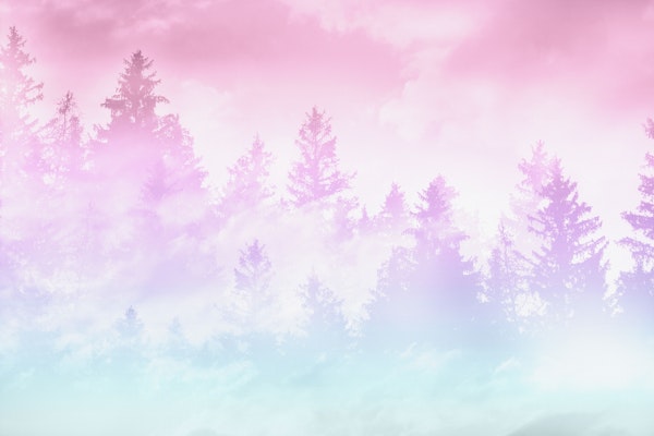 Unicorn Pastel Forest Dream 1