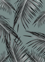 Black Palm Leaves Dream 4 carta da parati