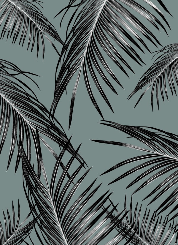 Black Palm Leaves Dream 4