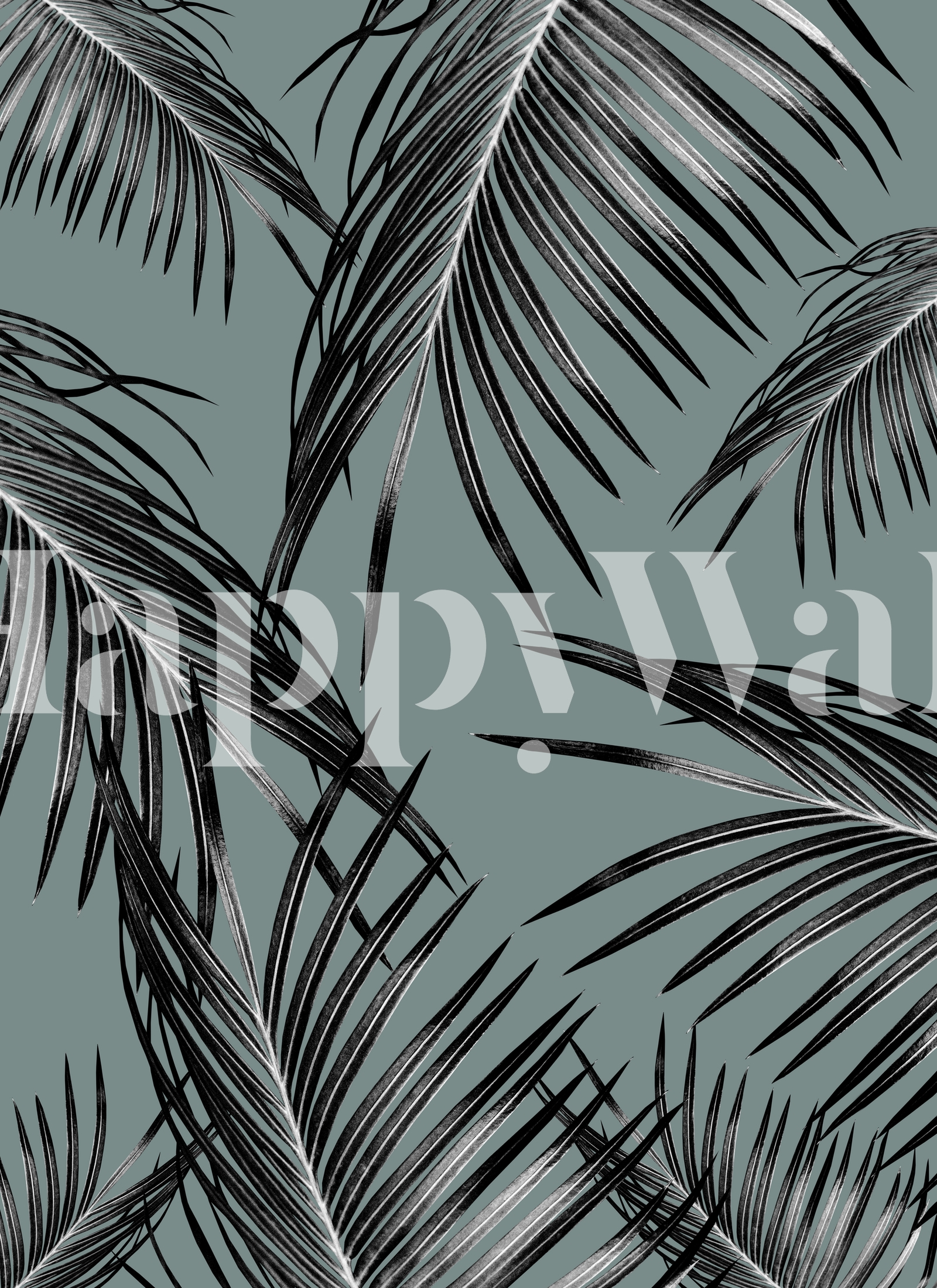 Black Palm Leaves Dream 4 Wallpaper | Happywall