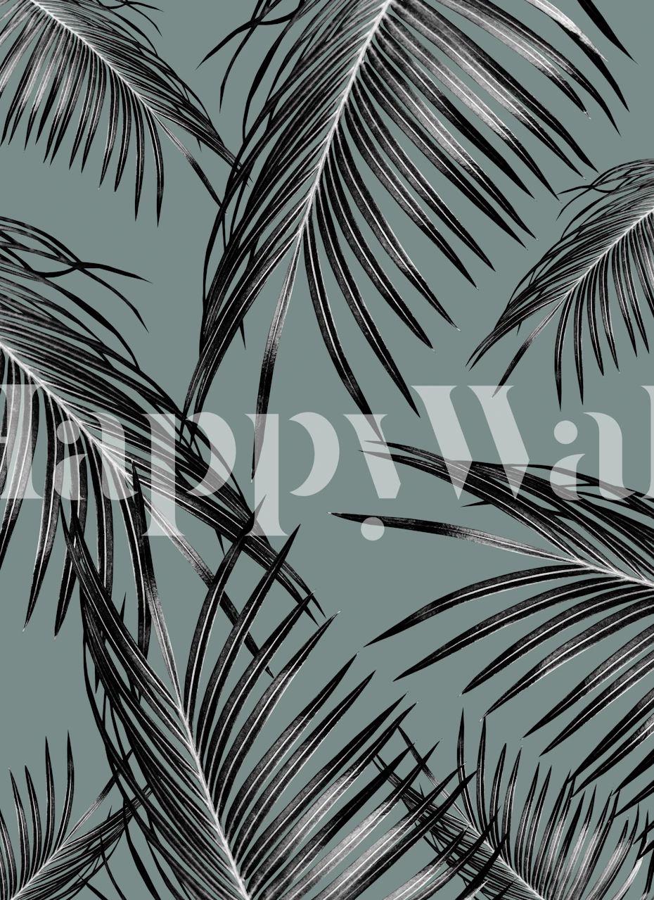 Black palm leaves wall mural on grey background