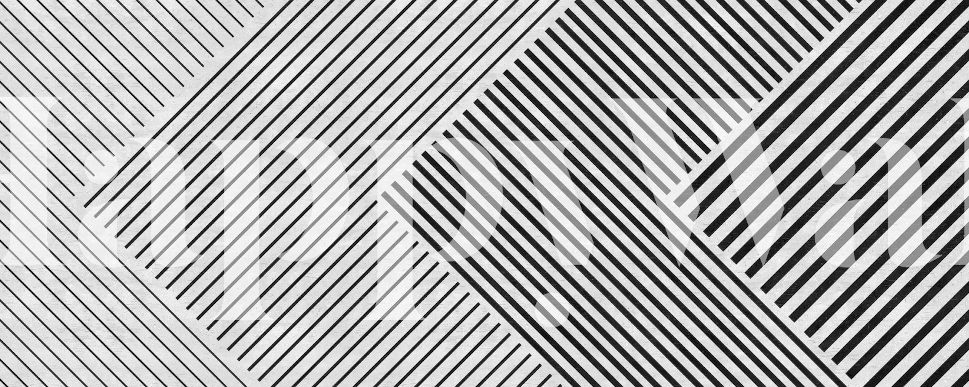 Carta da parati in bianco e nero line art in una stanza