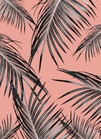 Black Palm Leaves Dream 5 carta da parati