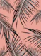 Black Palm Leaves Dream 5