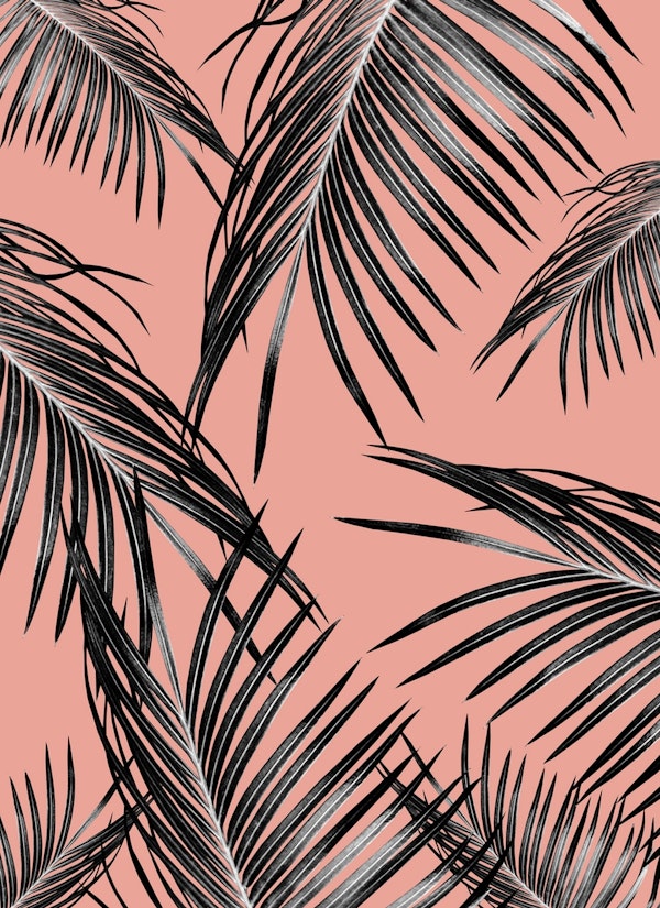 Black Palm Leaves Dream 5