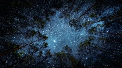 Τοιχογραφία