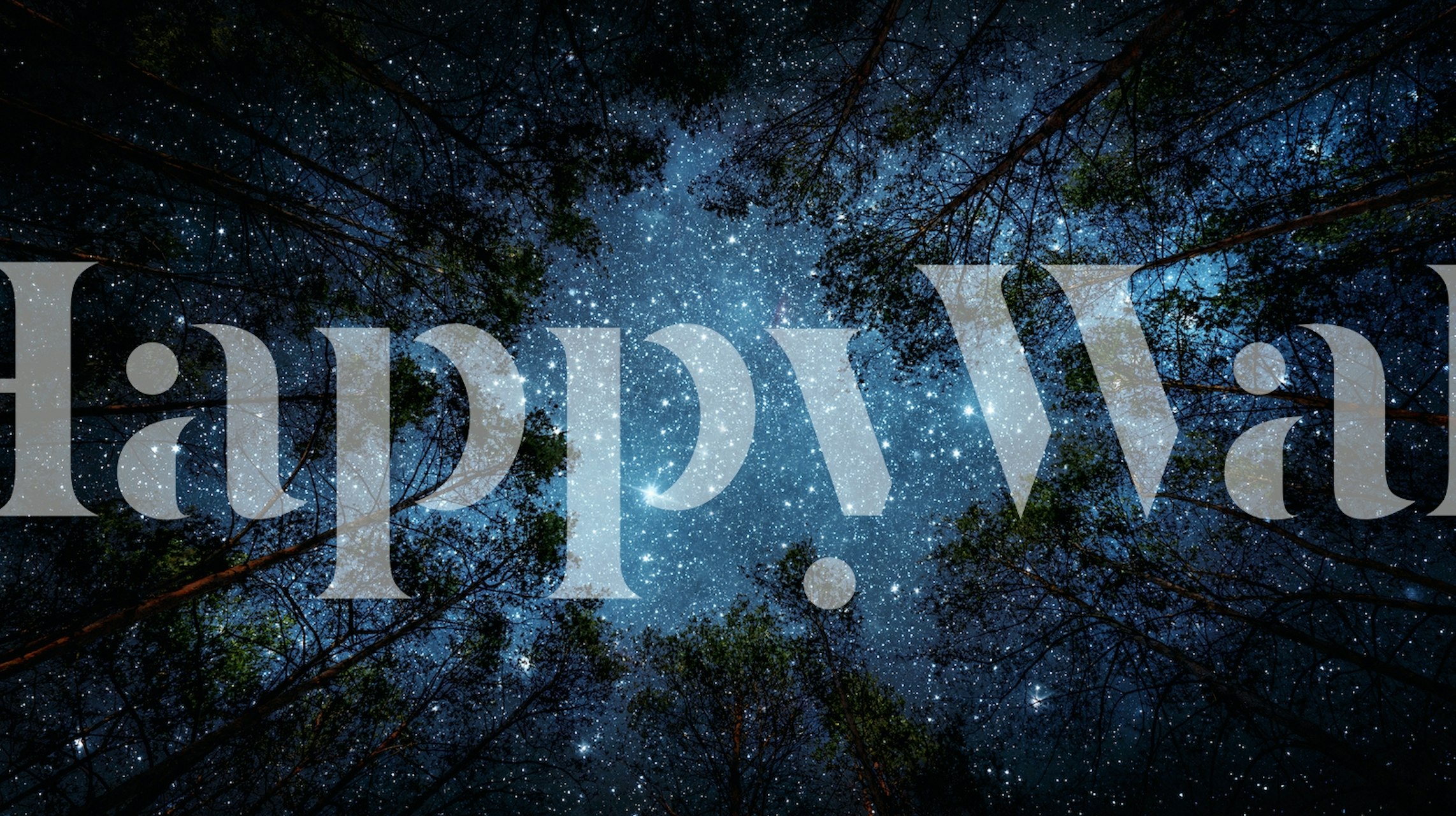 Starry night sky wallpaper with trees silhouetted against a star-filled sky