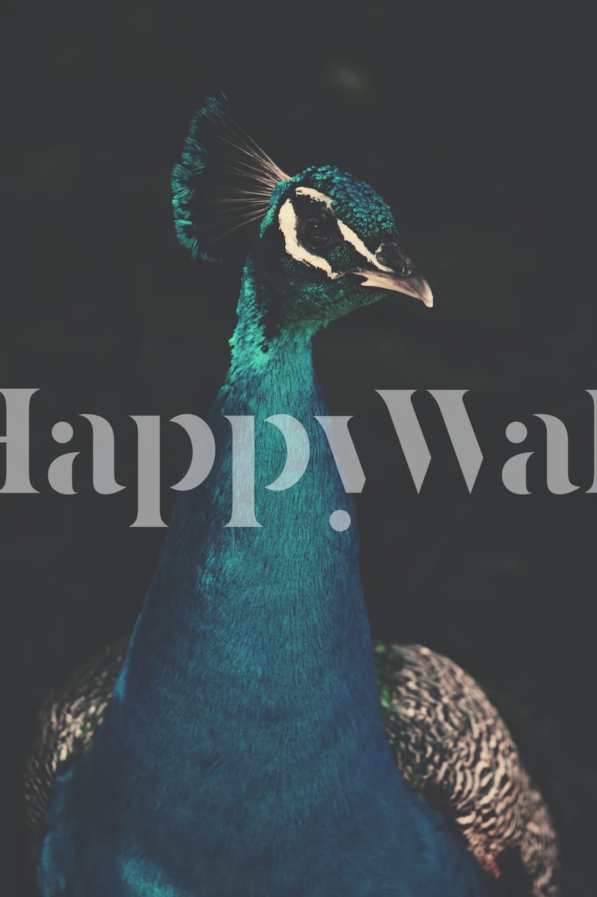 Elegant peacock wall mural with vibrant turquoise and emerald feathers