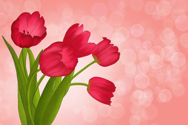 Red Tulips 1