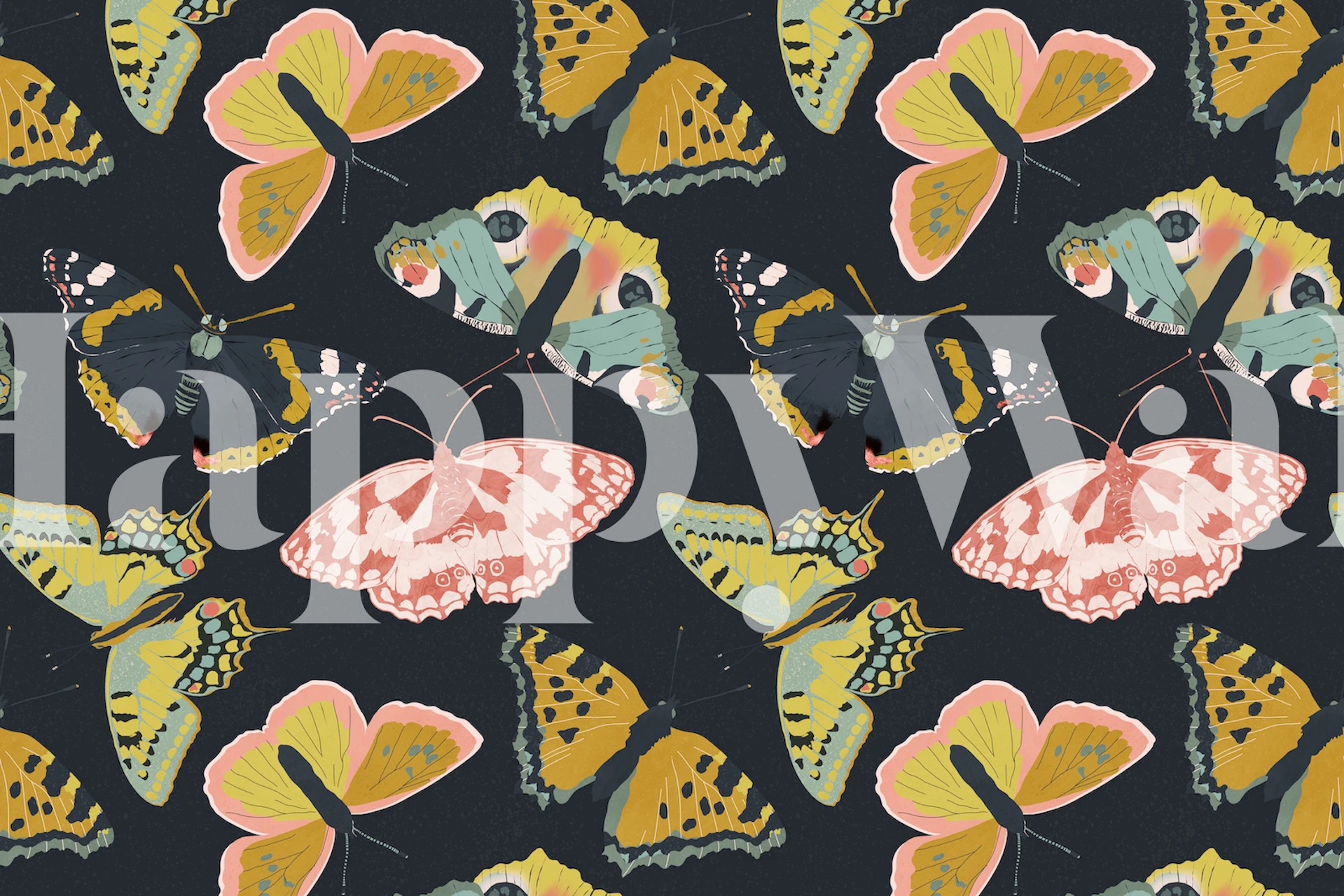 Bunte Schmetterlinge auf schwarzem Hintergrund, floral, Tapete