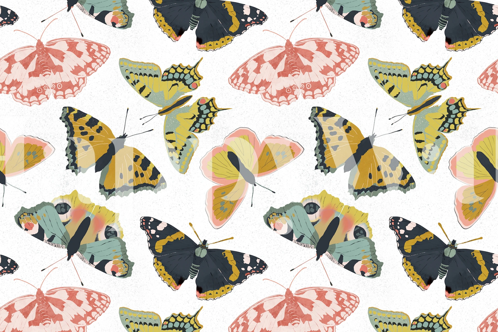 Butterflies Garden white tapet i et rum