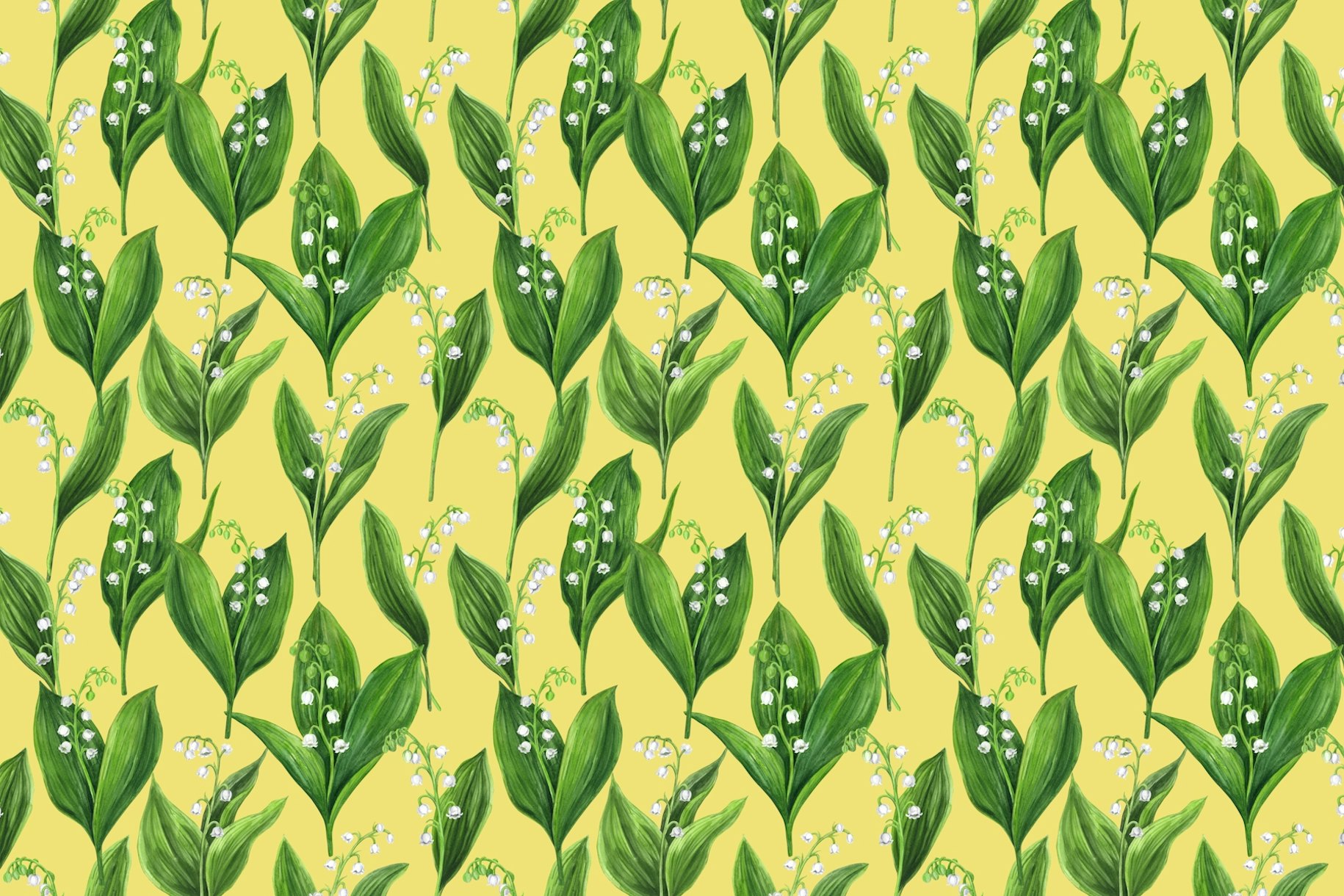 Lily of the valley wallpaper - Happywall