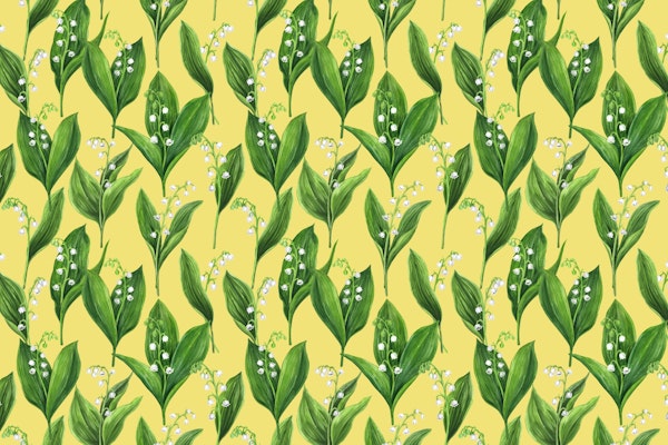 Lily of the valley